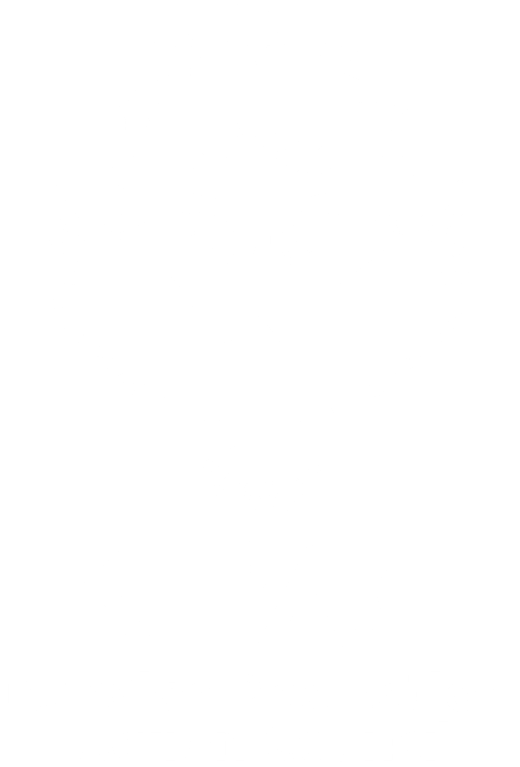 Kurdish Protection Action Council